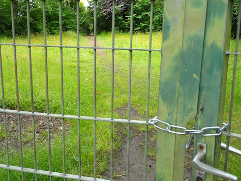 Der geheimnisvolle Garten